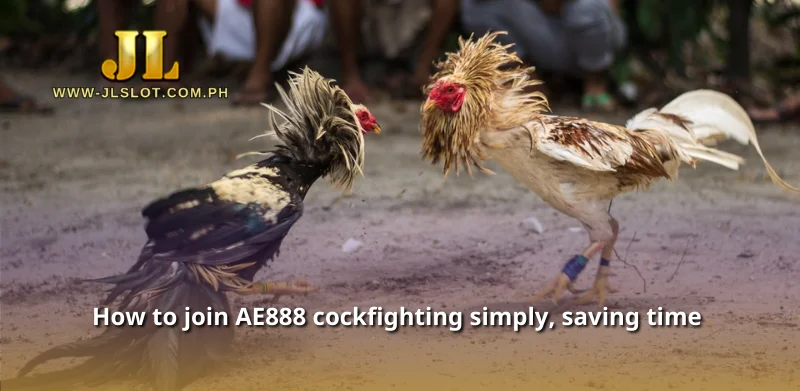 How to join AE888 cockfighting simply, saving time 