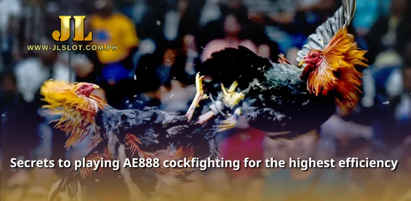 Secrets to playing AE888 cockfighting for the highest efficiency 