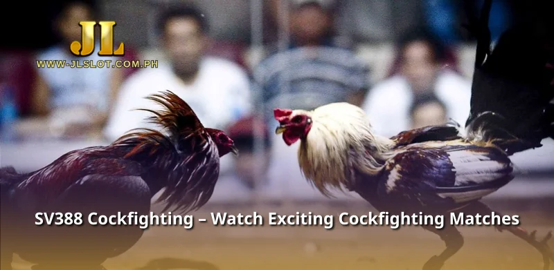 SV388 Cockfighting