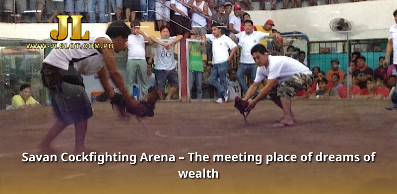 Savan Cockfighting Arena